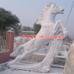 石雕馬，漢白玉馬雕塑，馬踏祥云石雕