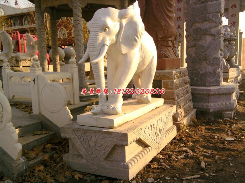 大象石雕，漢白玉動物石雕 (1)