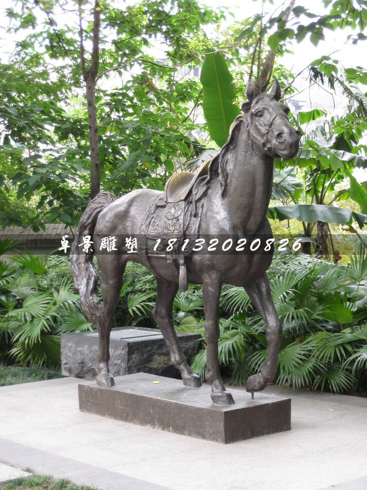 坐騎銅雕，公園銅馬雕塑 (2)