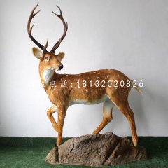 玻璃鋼梅花鹿，公園仿真動物